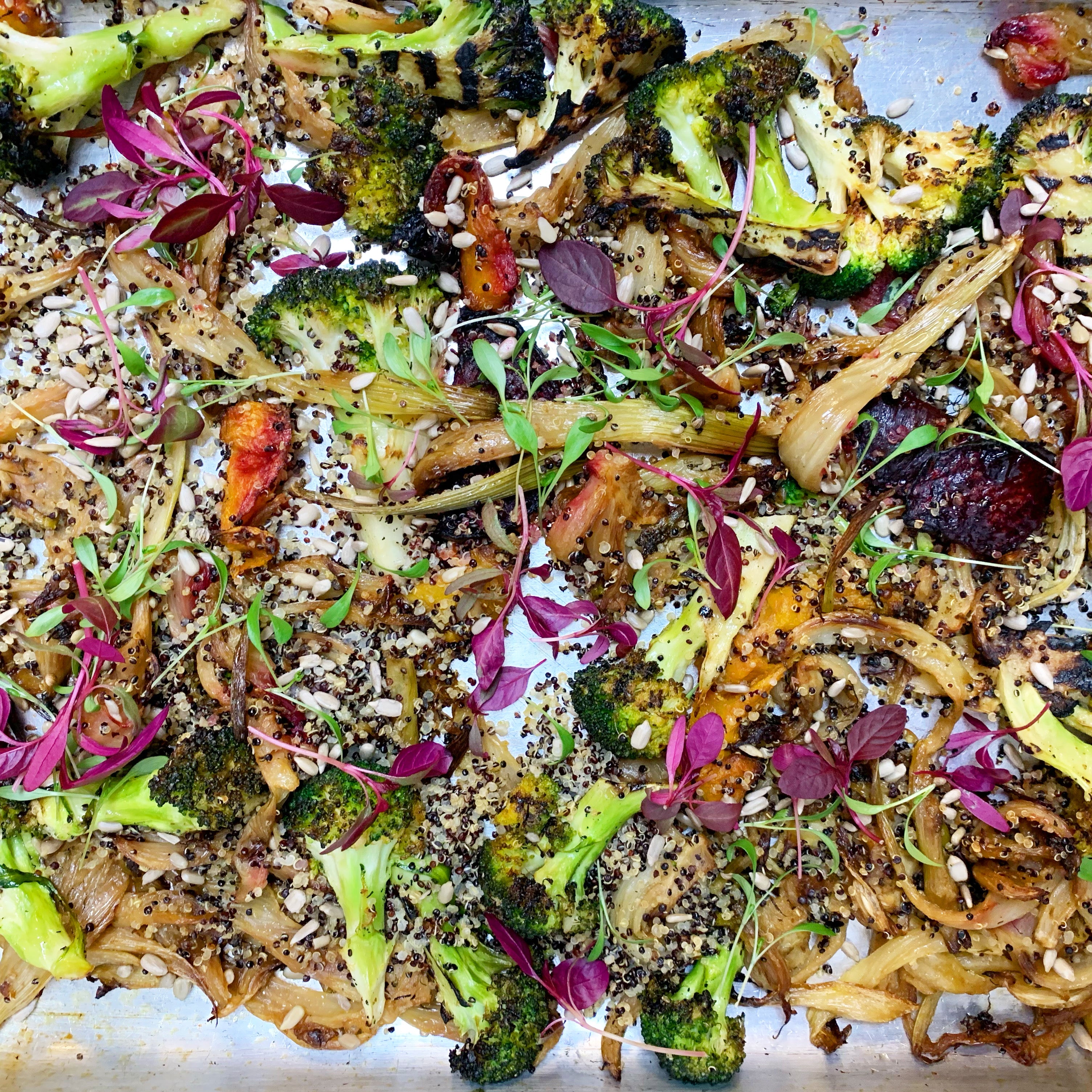 Organic Tofu, Fennel, Beet + Broccoli TRAY BAKE w/ Dreamy Cashew Dressing